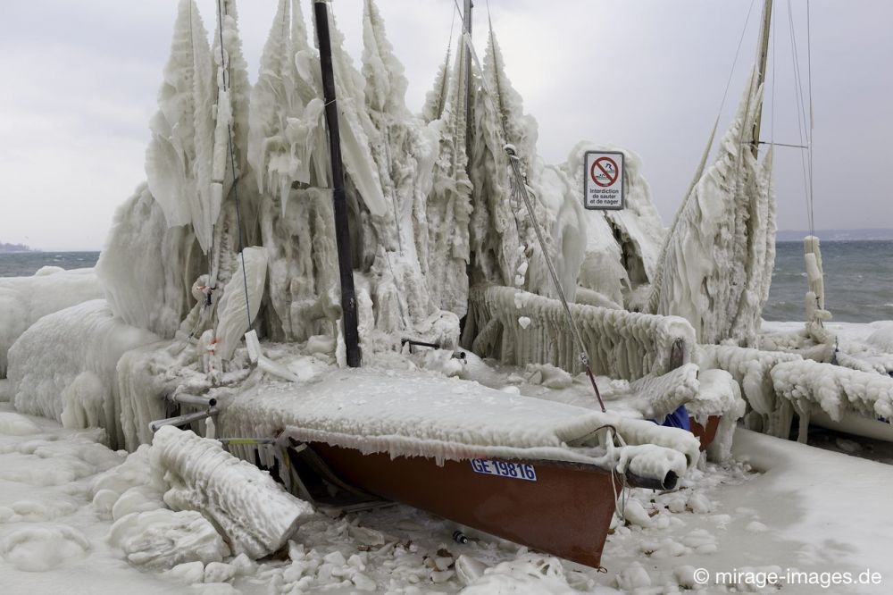 Stranded
Port de Choiseul Lac Léman
Schlüsselwörter: Zuckerguss Glatteis Eis vereist arktisch Winter Kälte sibirisch Frost Skulptur malerisch pittoresk bizarr surrealistisch Boote unbrauchbar Attraktion extrem eingepackt  Kunstwerk unbeweglich Ruhe friedlich Schönheit Zauber Segelboote 