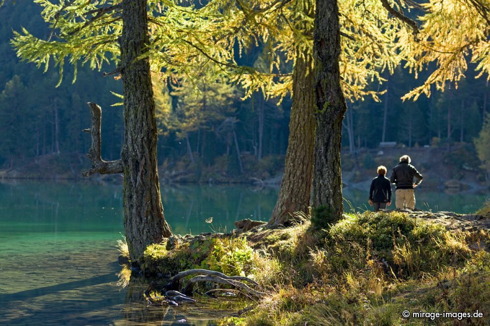 Palpuognasee - Lai da Palpuogna
Albulapass
Schlüsselwörter: See Herbst farbig Spiegelung Reflektion romantisch unberührt Natur natürlich malerisch Schönheit Harmonie Frieden friedlich Wasser Stille empfindlich rein sauber glasklar sonnig positiv Gleichgewicht Farben Ufer Postkarte
