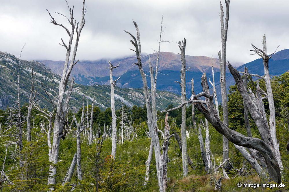 Parc National Laguna San Rafael
