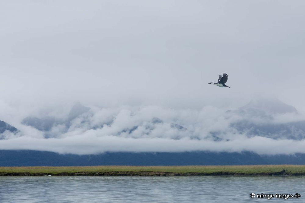 Parc National Laguna San Rafael
